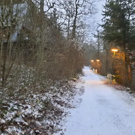 De Bosannemoon In