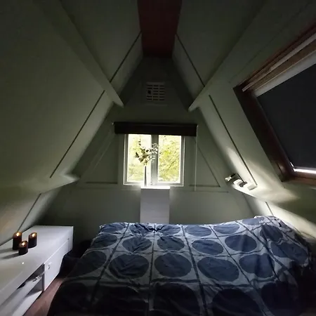 De Bosannemoon In * Дюрбюи