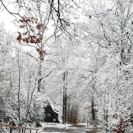 De Bosannemoon In Шале
