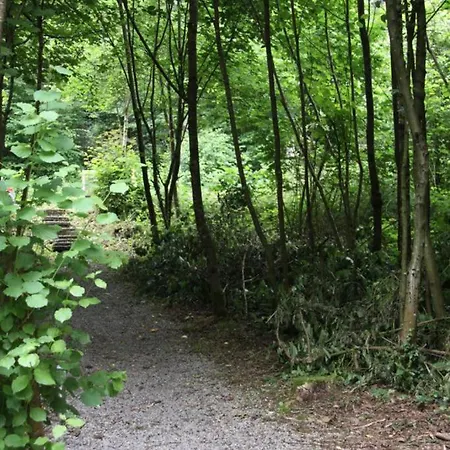 Шале De Bosannemoon In