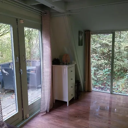 De Bosannemoon In * Дюрбюи