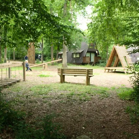De Bosannemoon In